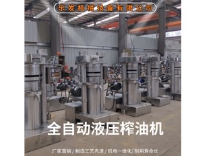 小型立式液壓榨油機(jī)的優(yōu)點(diǎn)-市場(chǎng)認(rèn)可度好