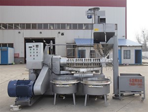 小型榨油機(jī)的壓榨步驟，來看看吧