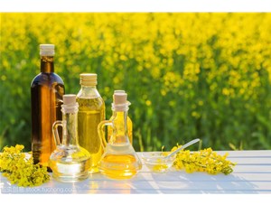 樂發(fā)榨油機(jī)-菜籽油季！